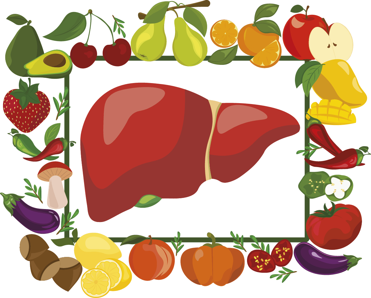 alimentazione ideale per il fegato